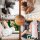 NatureMark 2er Pack Saunatücher | Premium Qualität | 100% Baumwolle | 80x200cm | Weiß